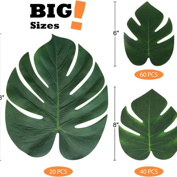 10 Tropical Palm Leaves Plant - Picture 4 of 7